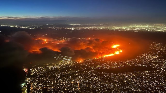 Impact of the Hollywood Hills Fire